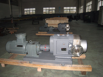 普利施65PLST6-10 日用化工轉子泵,甘油、化妝品料漿輸送泵 價格優惠歡迎咨詢圖片_高清圖_細節圖-江蘇普利施泵業 -